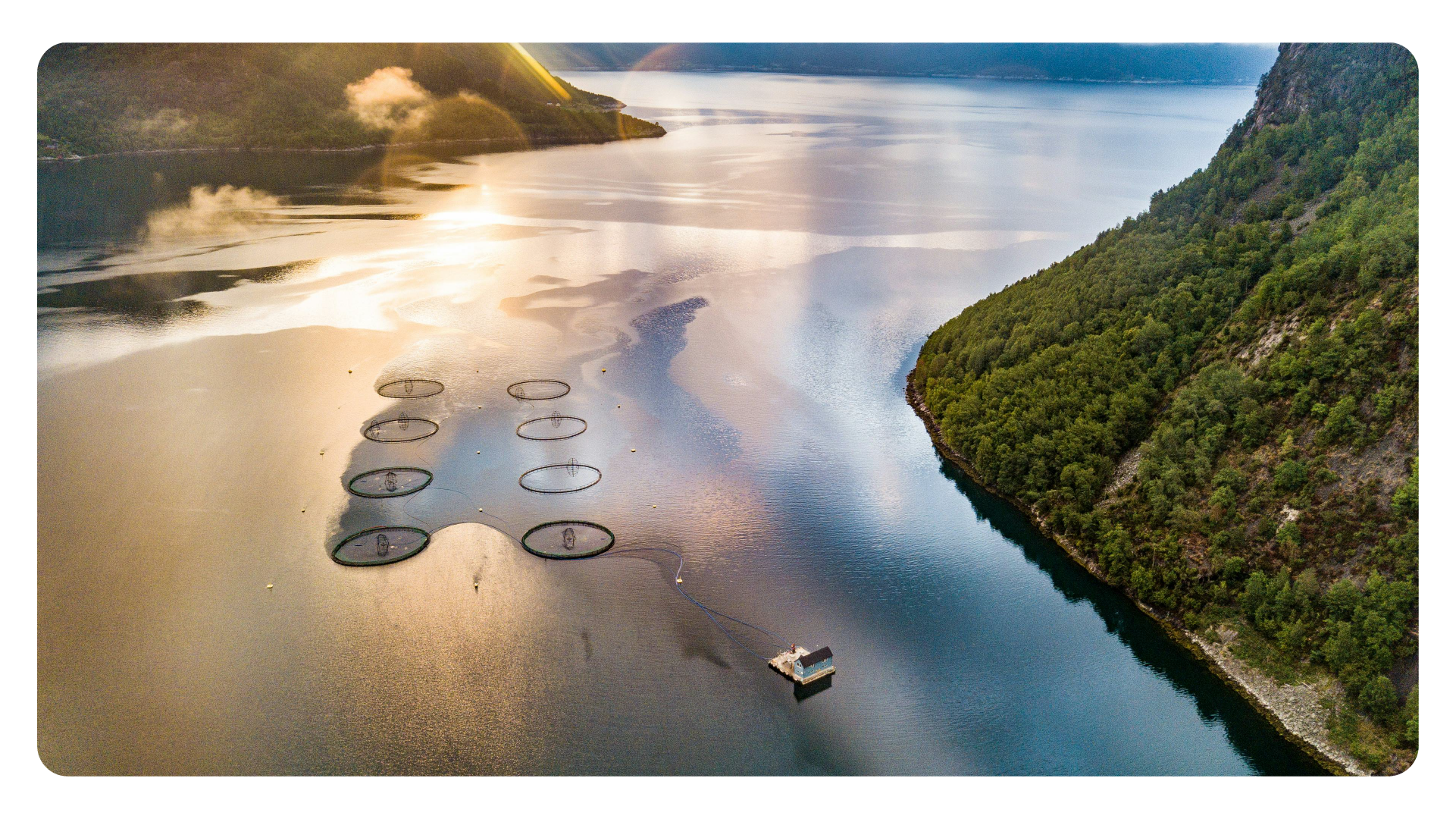 Mattilsynet Risk Report Audits Norway | Manolin